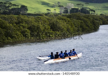 TAIPA,NZ - MAY 18:Crew of a racing outrigger canoe training on May 18 2013.It become a very popular paddling sport with numerous sporting clubs located around the world.