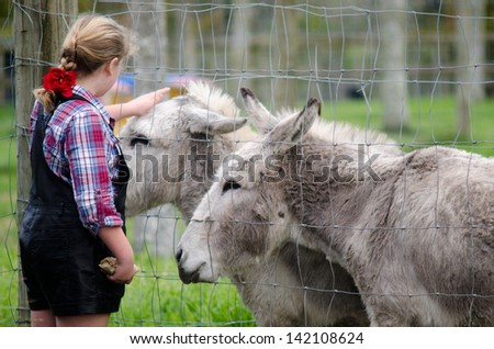 MATAKAN, NZ - JUNE 02:Young woman pet donkeys in a farm on June 02 2013. Farm animals including cows, sheep, pigs, chickens and goats, can pass diseases to people.
