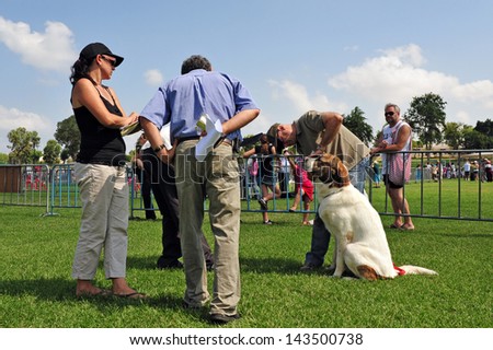 ASHDOD, ISR -  JULY 31:Local dog competition on July 31 2009.Dogs perform many useful tasks for humans like hunting,farm work, security as well as assisting those with disabilities such as the blind.