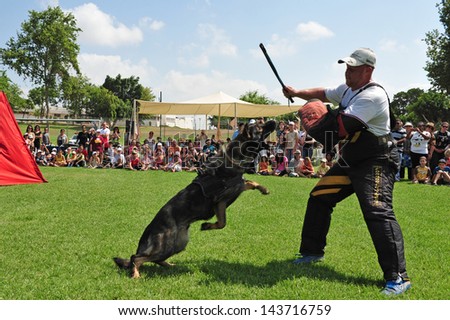 ASHDOD, ISR -  JULY 31:Police dog attack on July 31 2009.It trained specifically to assist police and other law-enforcement personnel in their work.The most commonly used breed is the German Shepherd.