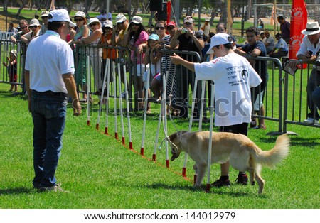 ASHDOD, ISR -  JULY 31:Local dog competition July 31 2009.Dogs perform many useful tasks for humans including hunting and security as well as assisting those with disabilities such as the blind.