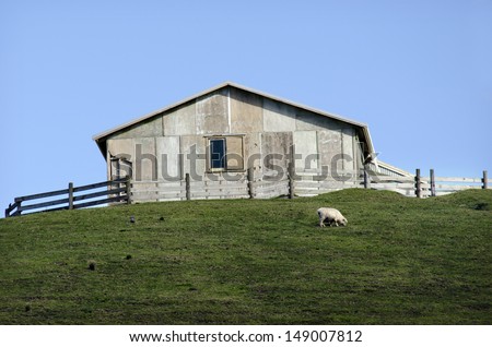 Remote hill sheep farm station in New Zealand.