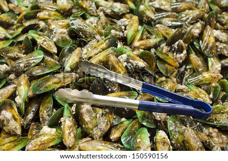 Kitchen tong utensil on a group of New Zealand Green Lip Mussels on display in fishermen market. Close up