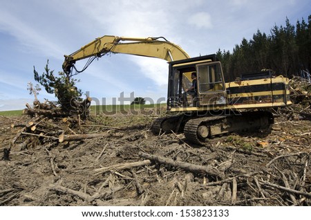 CABLE BAY, NZ - SEPTEMBER 10:Log loader driver loads logs in a forest on September 10 2013.The wood industries in NZ occupy about 17,000 people directly and more than 100,000 employed indirectly.