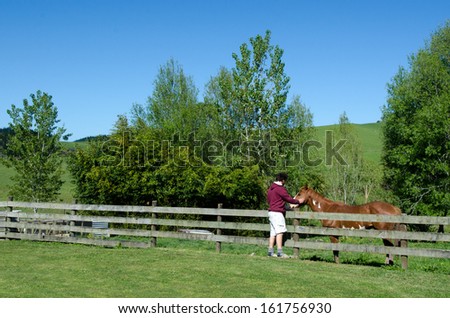 TAIPA, NZ - OCT 20:Man feeding his horse on Oct 20 2013.There are about 75 million horses in the world.