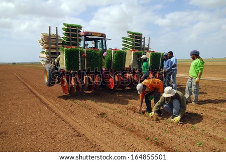 WESTERN NEGEV, ISR - MAR 26: Israeli farmers works the land on Mar 26 2008.The Negev covers more than half of Israel, over some 13,000 kmÃ?Â² (4,700 sq mi) or at least 55% of the country\'s land area.