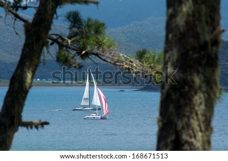 BAY OF ISLANDS, NZ - DEC 12:Yachts sails in in the Bay of Islands on Dec 12 2013.It\'s one of the most popular fishing, sailing and tourist destinations in New Zealand.