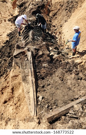 ASHKELON, ISR - APR 26:Workers of the Israeli Marine Mammal Research Center dig to remove the skeleton of a whale buried one year ago on a beach next to the southern city of Ashkelon on Apr 26 2009.