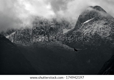 MILFORD SOUND,NZ - JAN 14:Plane fly above Milford Sound during scenic flightseeing on Jan 14 2014.Milford sound is New Zealand\'s most famous tourist destination. (BW)