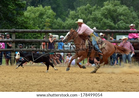TAIPA, NZ - JAN 03:Cowboy successfully roping a steer during a rodeo show on Jan 03 2014.Rodeo is very popular sport in NZ with 32 rodeos, which include bull riding contests, are held each summer.