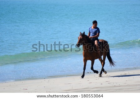 MATAI BAY, NZ - JAN 29:Man ride horse in Matai bay on Jan 29 2014. It\'s a famous travel destination in northland New Zealand.