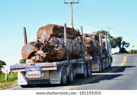 CABLE BAY - APR 02 2014:Old Kauri on log truck. Kauri are among the world\'s mightiest trees, growing to more than 50M tall with trunk girths of up to 16M and living for more than 2000 years.