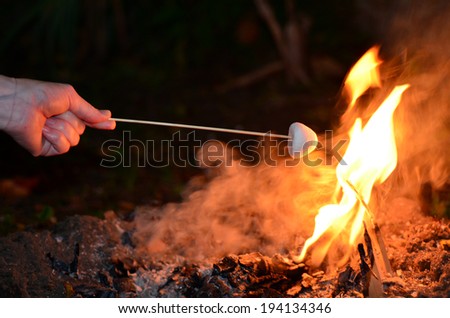Woman hand roast Marshmallow on camp fire.