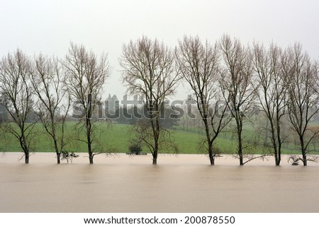 KAWAKAWA , NZL - JUNE10 2014:Submerge trees in a flooded farm in Northland.Floods are the most frequent and costly natural disasters in New Zealand