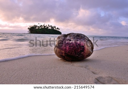 Coconut o tropical Island beach. Concept photo of tropical, travel, vacation, lost, survival,destination, empty, alone, remoteness, freedom, environment and wilderness. Copy space