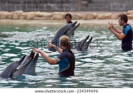 GOLD COAST, AUS -  NOV 11 2014: Instructors interact with Dolphins in Sea World Gold Coast Australia.It\'s sea animals theme park that promote conservation education of sea and marine wildlife.