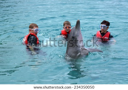 GOLD COAST, AUS -  NOV 06 2014:Family interact with Dolphin in Sea World Gold Coast Australia.It\'s sea animals theme park that promote conservation education of sea and marine wildlife.