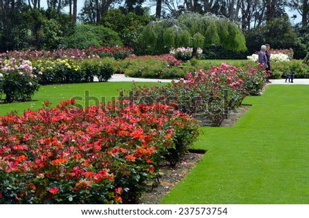PALMERSTON NORTH, NZL - NOV 29 2014:Visitors in Dugald MacKenzie Rose Garden.It was opened in 1968 and contains over 5000 roses in named beds.