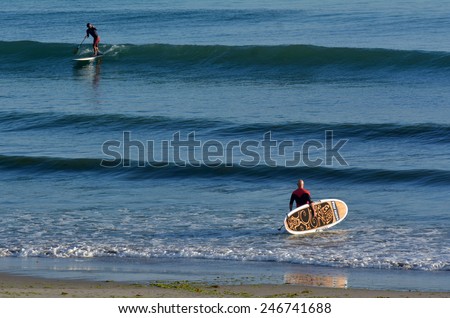 MOUNT MAUNGANUI, NZL - JAN 18 2015:People surf on stand up pedal board.It\'s an emerging global sport with a Hawaiian heritage.It\'s an ancient form of surfing for longer distances.