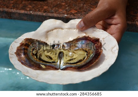 EILAT ,ISR - APR 14 2015:Woman hand holds an open oyster with pink pearl in it.Natural pearls values determined according to size, shape, color, quality of surface, orient and luster