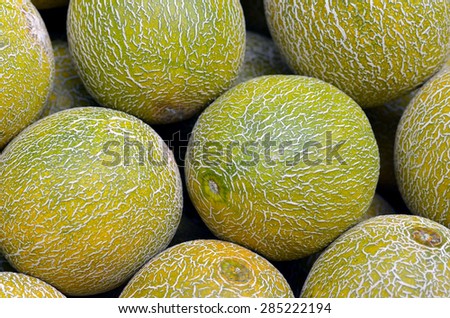 Fresh melons on display in food market in Tel Aviv, Israel.Food background and texture
