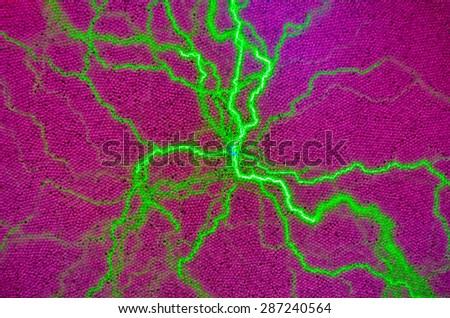 Electric lighting spark abstract techno background and texture.