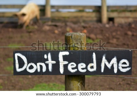 Do not feed me sign on pigs pen with hungry greedy pig in the background. Concept photo