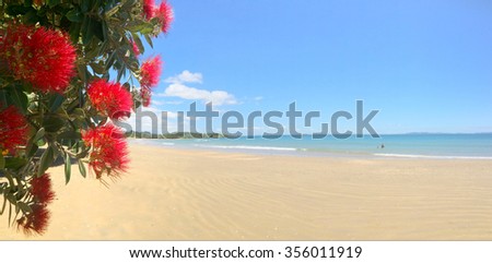 Panoramic view of Pohutukawa red flowers blossom on the month of December in doubtless bay New Zealand.