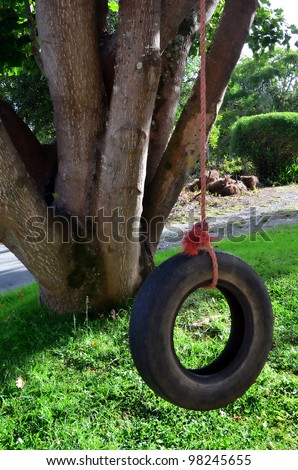 Car tire used as a swing on a tree in the garden. Concept photo of childhood, nostalgia, memory , past, life, retro, vintage, home sweet home.