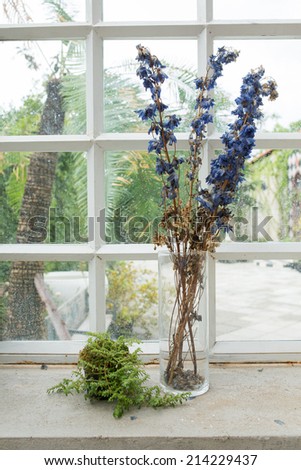 Flowers displayed beside a glass window