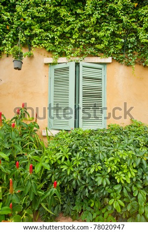 An open window with plant around
