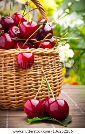 Delicious sweet cherry fruits in wicker basket