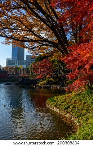 Koishikawa Korakuen Garden in Autumn in Tokyo