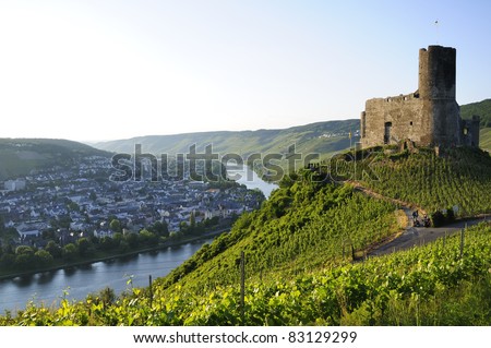 Lichtenstein+castle+ger