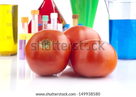 Genetically modified organism - ripe tomatoes and laboratory glassware