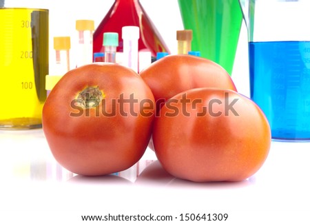 Genetically modified organism - ripe tomatoes and laboratory glassware on white background