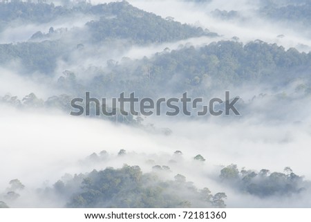 Fog layer
