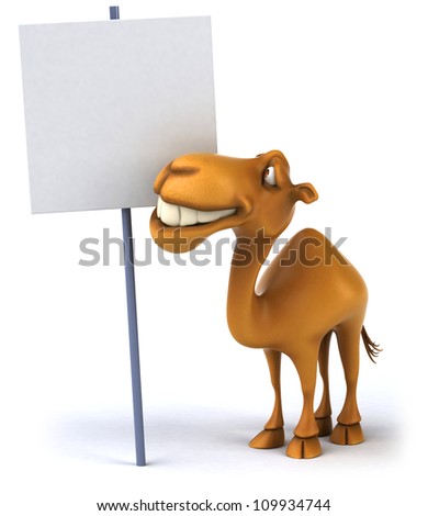 Camel Fun