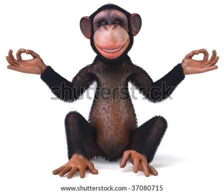 Zen Monkey