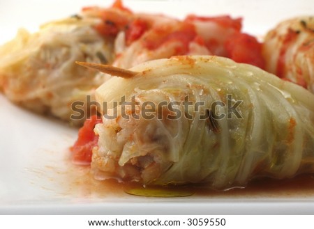 Toothpick holds a stuffed cabbage roll together on white plate.