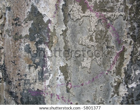 Grey grunge background texture from peeling plaster wall with purple chalk lines.