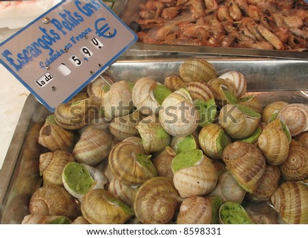stock photo : Big snails, escargots, stuffed with green sauce, 