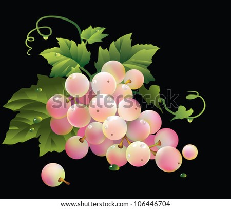Raster version of vector/ Bunch of white and pink grapes - black background