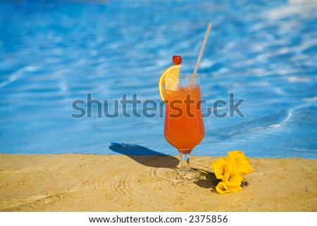 orange cocktail stands on edge of swimming-pool near a flower.