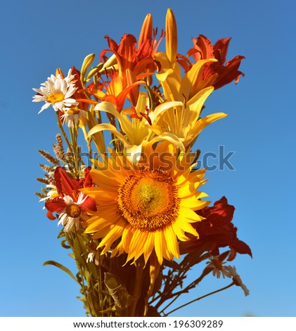 Bouquet of sunflowers, lilies and daisies on blue sky background