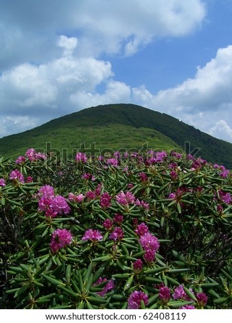 View of Craggy Dome on the Blue Ridge Parkway in North Carolina.