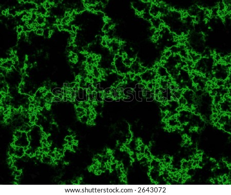 black and green background. veiny lack bright green