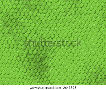 reptile skin background of green snake