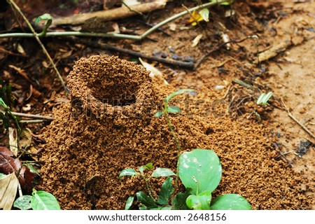 Ant Hill Clipart