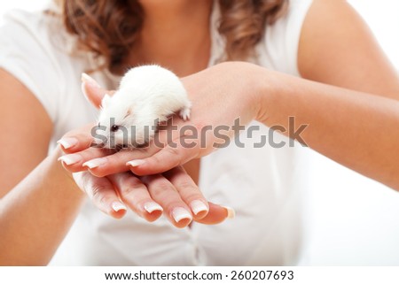 White mouse in female hands isolated on white